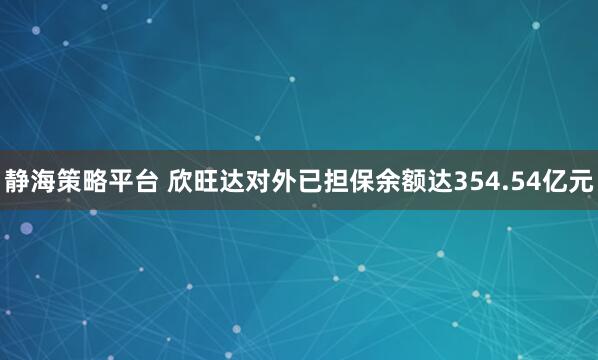 静海策略平台 欣旺达对外已担保余额达354.54亿元