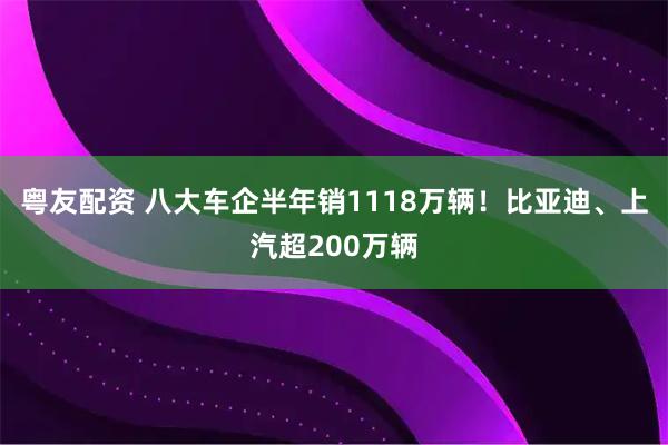 粤友配资 八大车企半年销1118万辆!比亚迪、上汽超200万辆