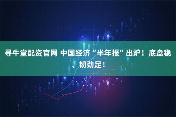 寻牛堂配资官网 中国经济“半年报”出炉！底盘稳、韧劲足！