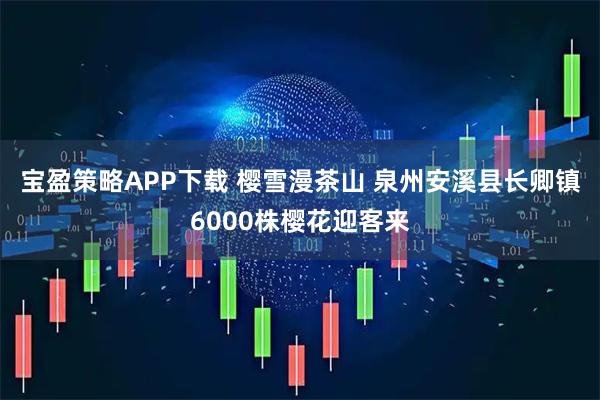 宝盈策略APP下载 樱雪漫茶山 泉州安溪县长卿镇6000株樱花迎客来